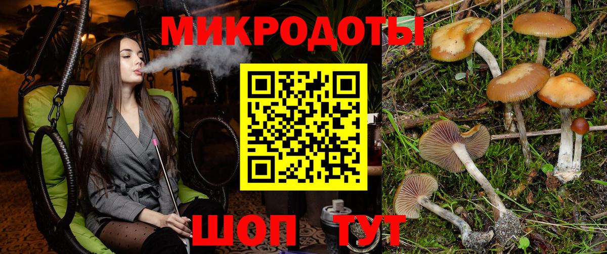 Псилоцибиновые грибы Psilocybine cubensis  Вход с VPN  Краснокамск 
